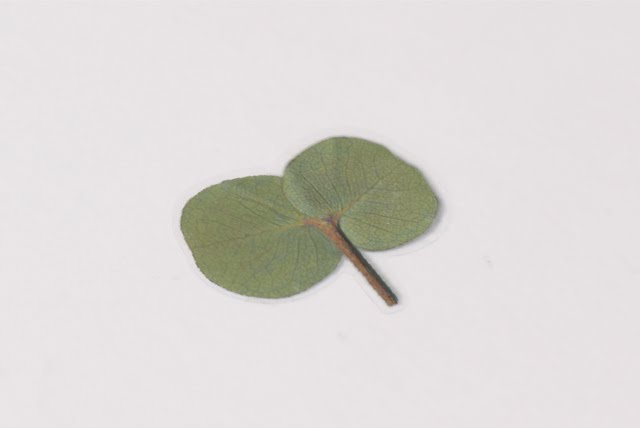 Appree Pressed flower sticker - Eucalyptus