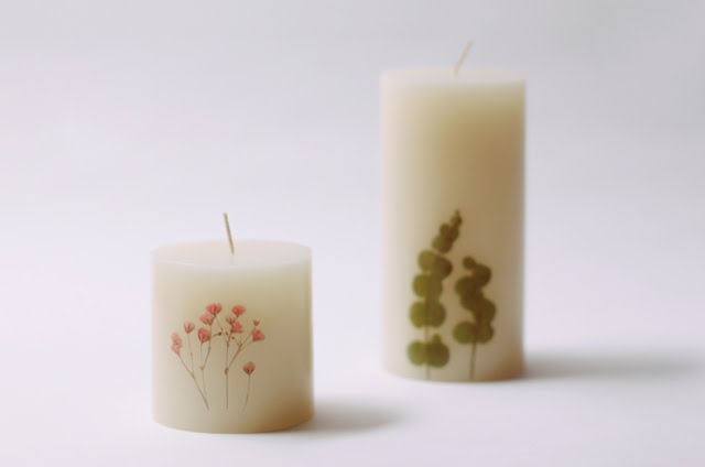 Appree Pressed flower sticker - Eucalyptus