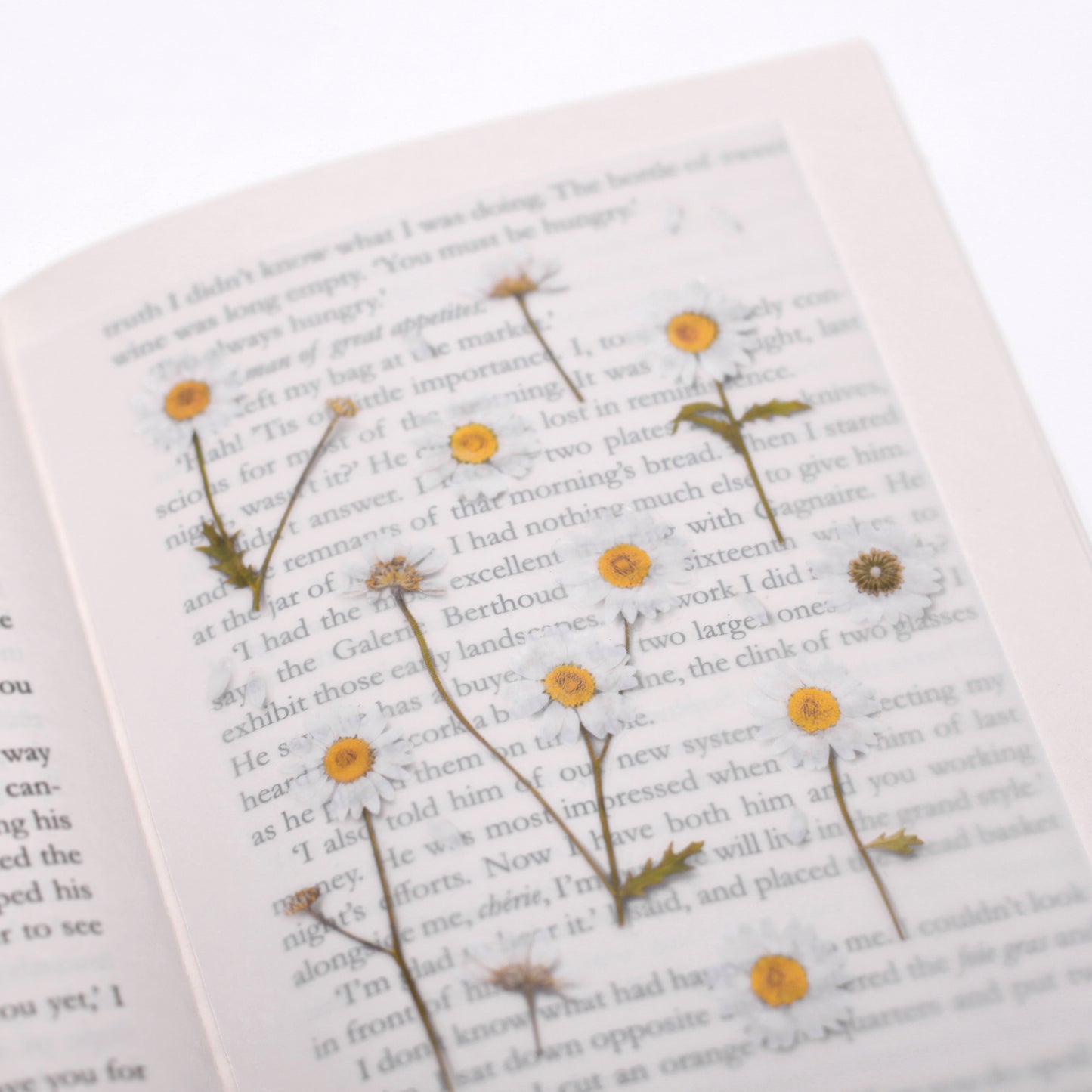 Appree Pressed flower sticker - Marguerite