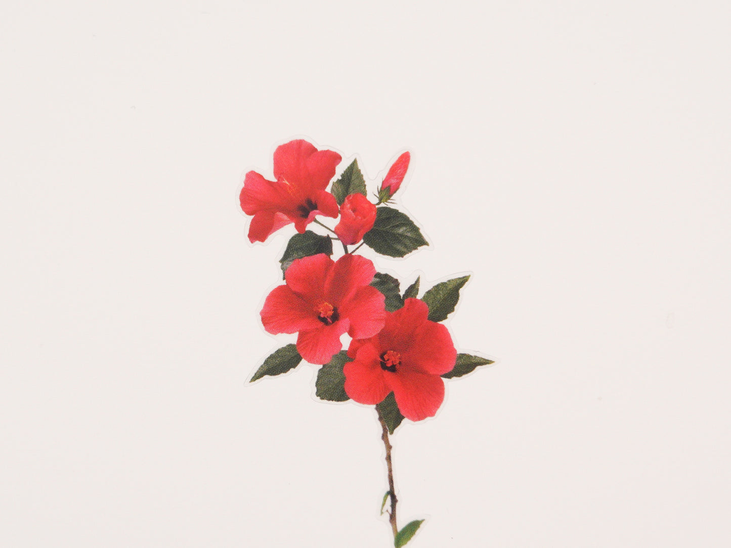 Appree Nature Scene Sticker - Tropical Day