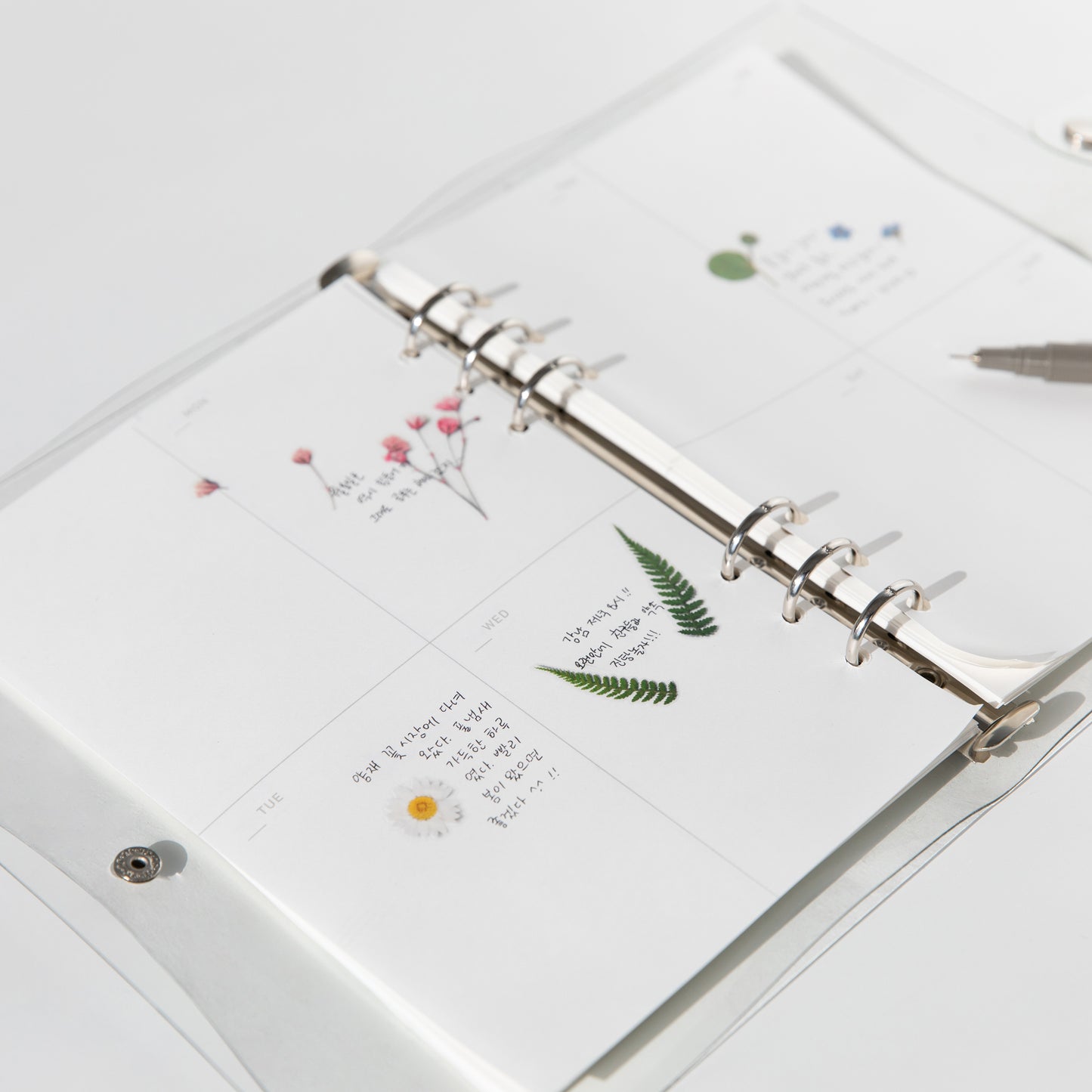 Appree Pressed flower sticker - Bracken