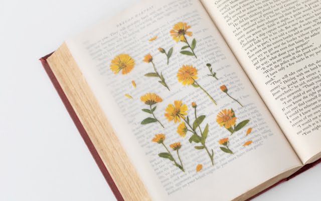 Appree Pressed flower sticker - Calendula