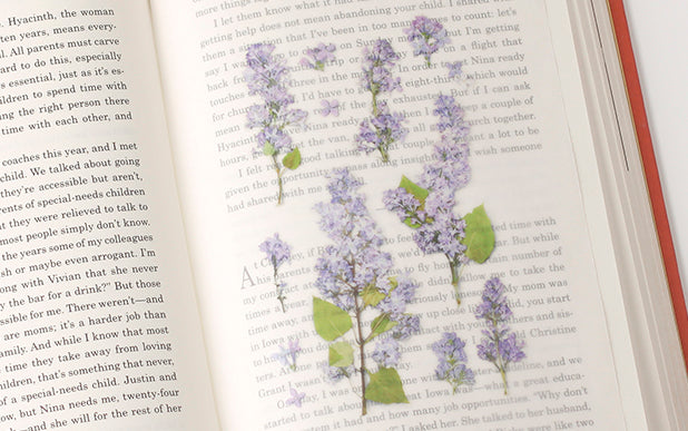 Appree Pressed flower sticker - Lilac