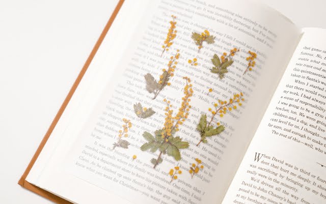 Appree Pressed flower sticker - Mimosa