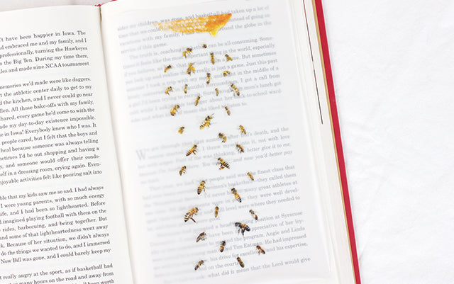 Appree Nature Sticker - Honeybee