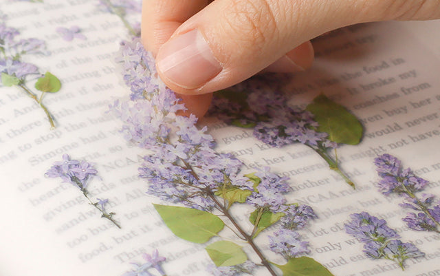 Appree Pressed flower sticker - Lilac