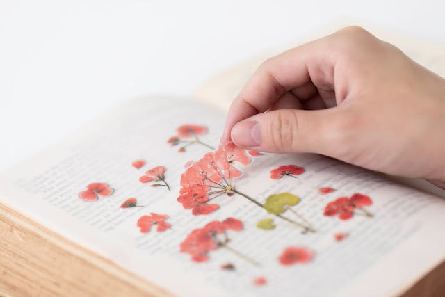 Appree Pressed flower sticker - Geranium