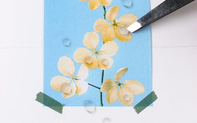 Appree Nature Sticker - Water Drop