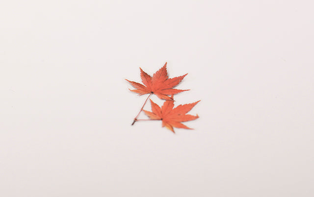 Appree Pressed flower sticker - Palmate Maple