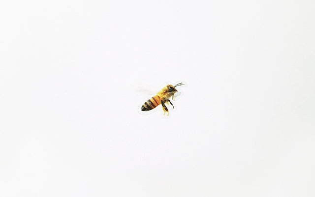 Appree Nature Sticker - Honeybee