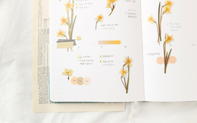 Appree Pressed flower sticker - Narcissus