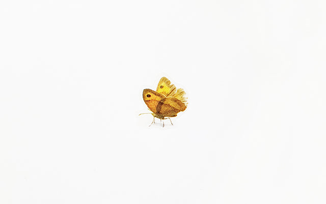 Appree Nature Sticker - Butterfly