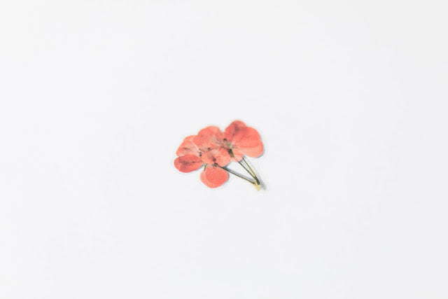 Appree Pressed flower sticker - Geranium