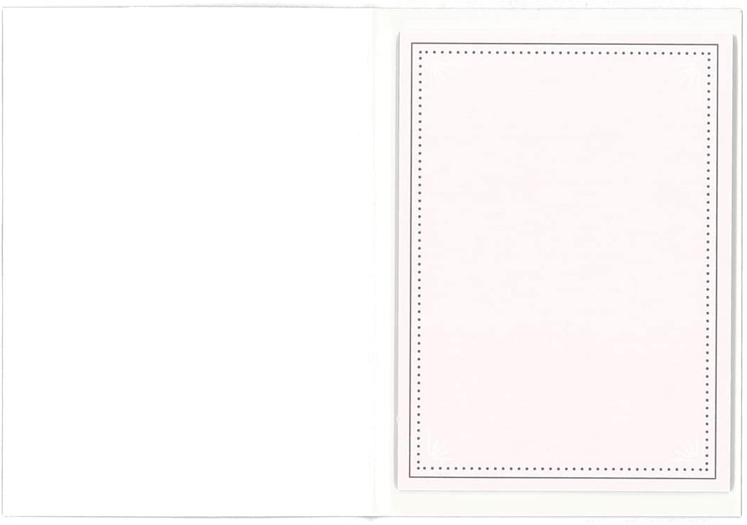 MDS Sticky Notes Macaroon