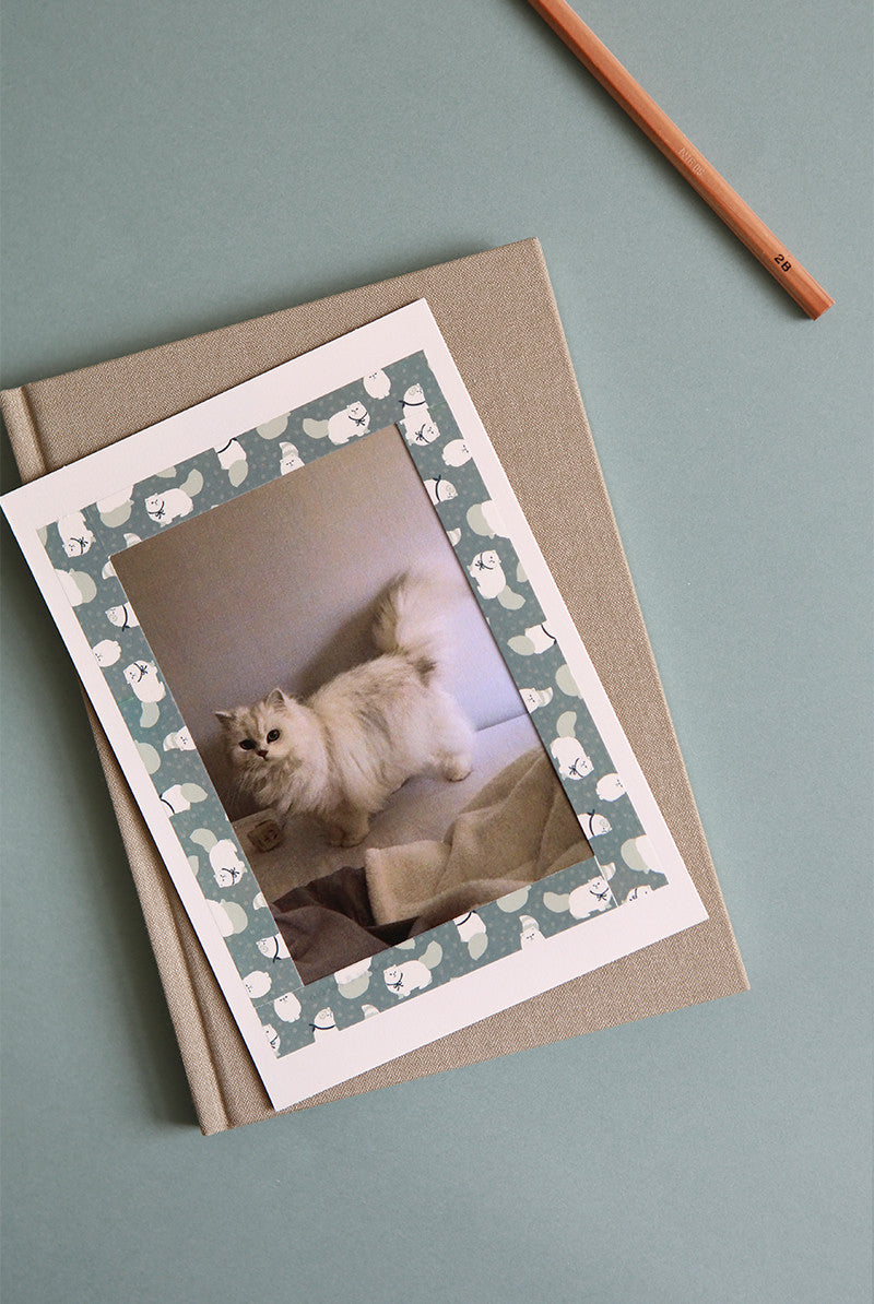 Dailylike Persian Cat Masking Tape