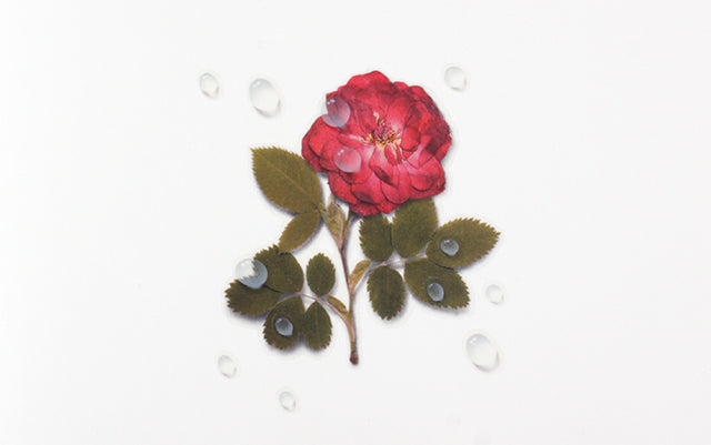 Appree Nature Sticker - Water Drop
