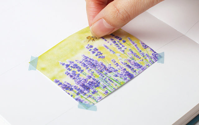 Appree Nature Sticker - Honeybee