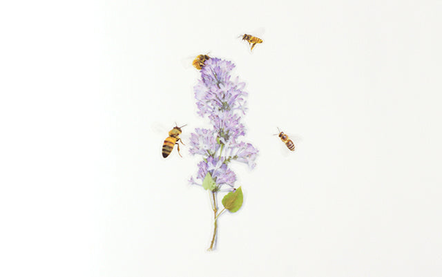 Appree Nature Sticker - Honeybee