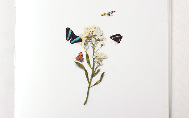 Appree Nature Sticker - Butterfly
