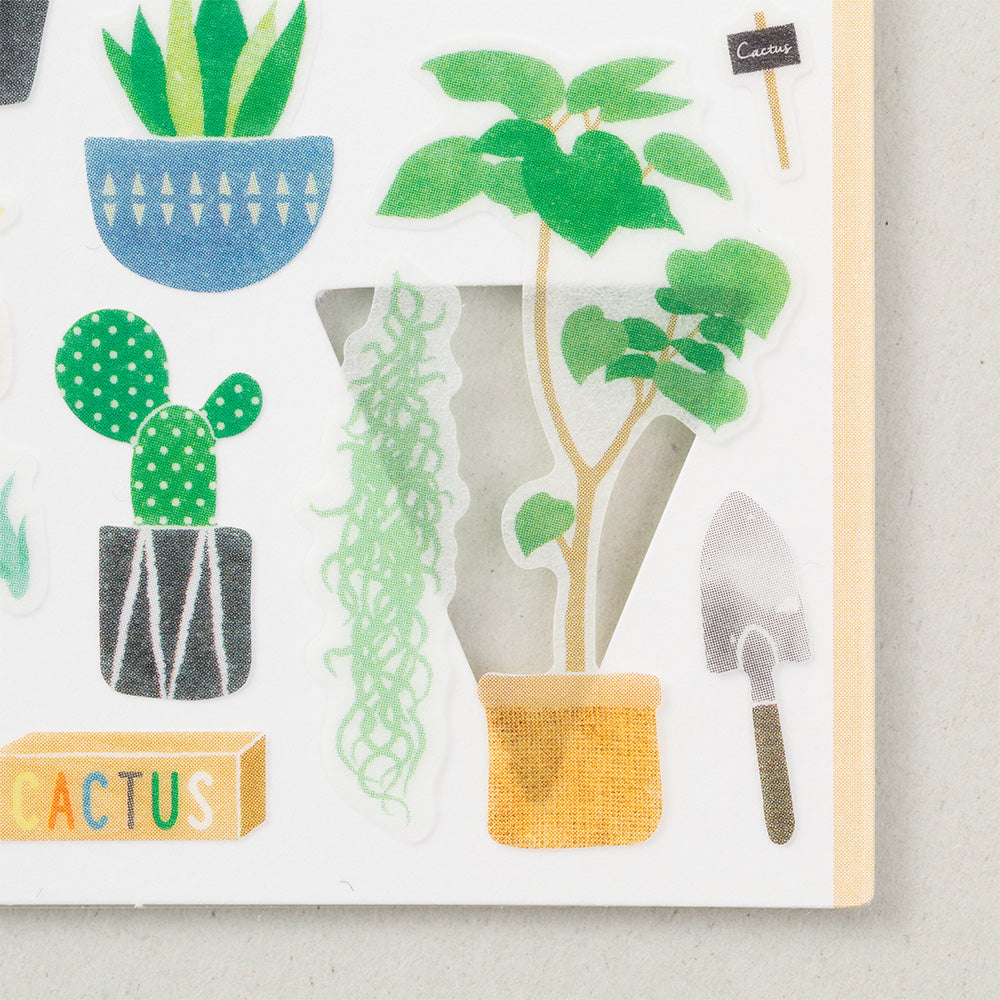 Sticker 2377 Marché Cactus