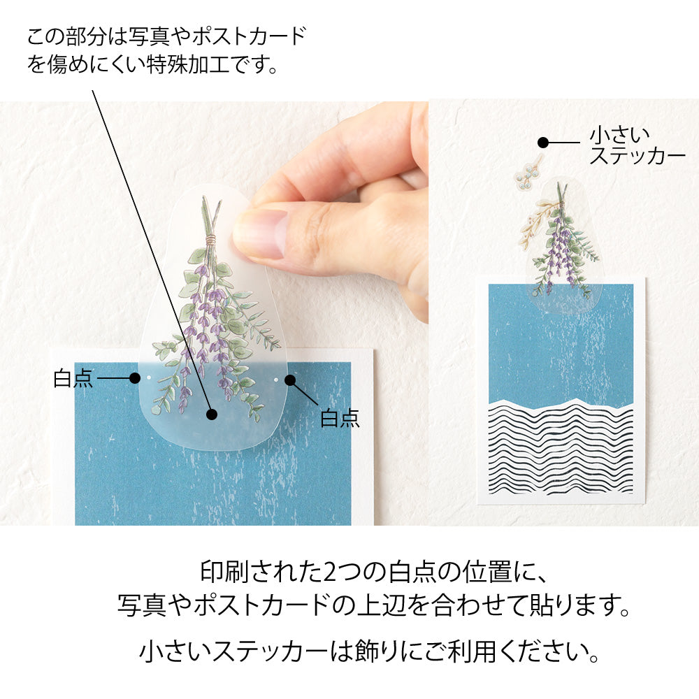 Clip Sticker Dried flower
