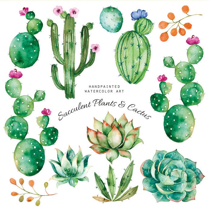 Cactus Pattern Set