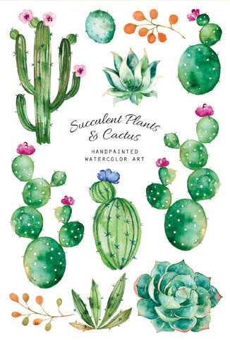 Cactus Pattern Set