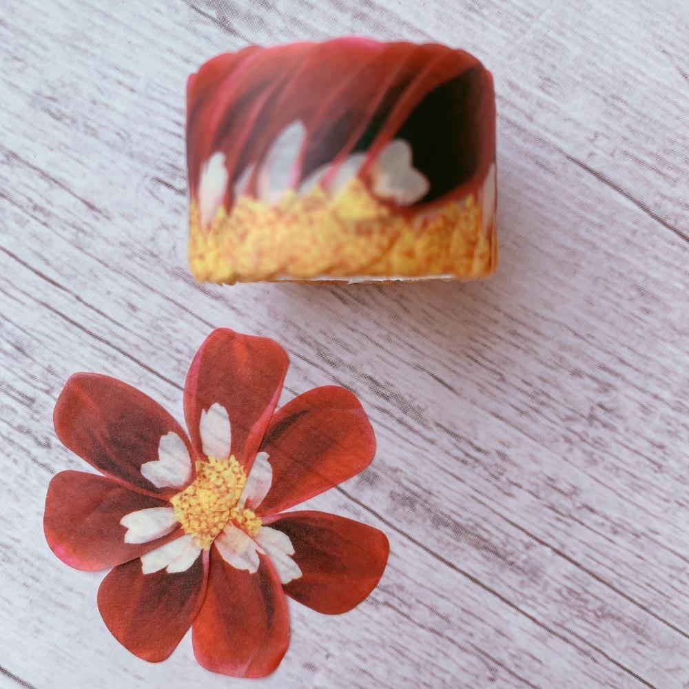 Pink Piquant Washi Flower Petal Set