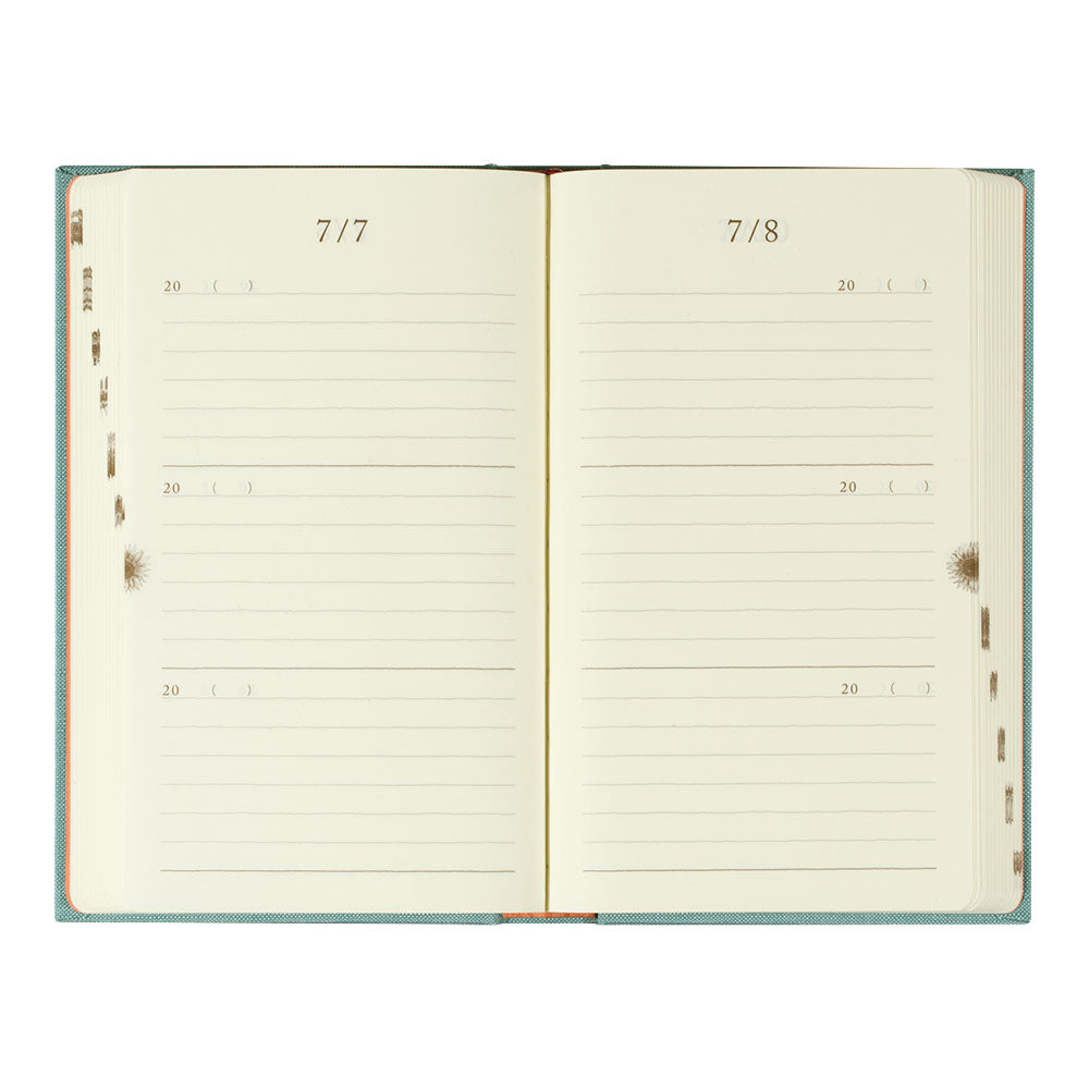 3 Years Journal