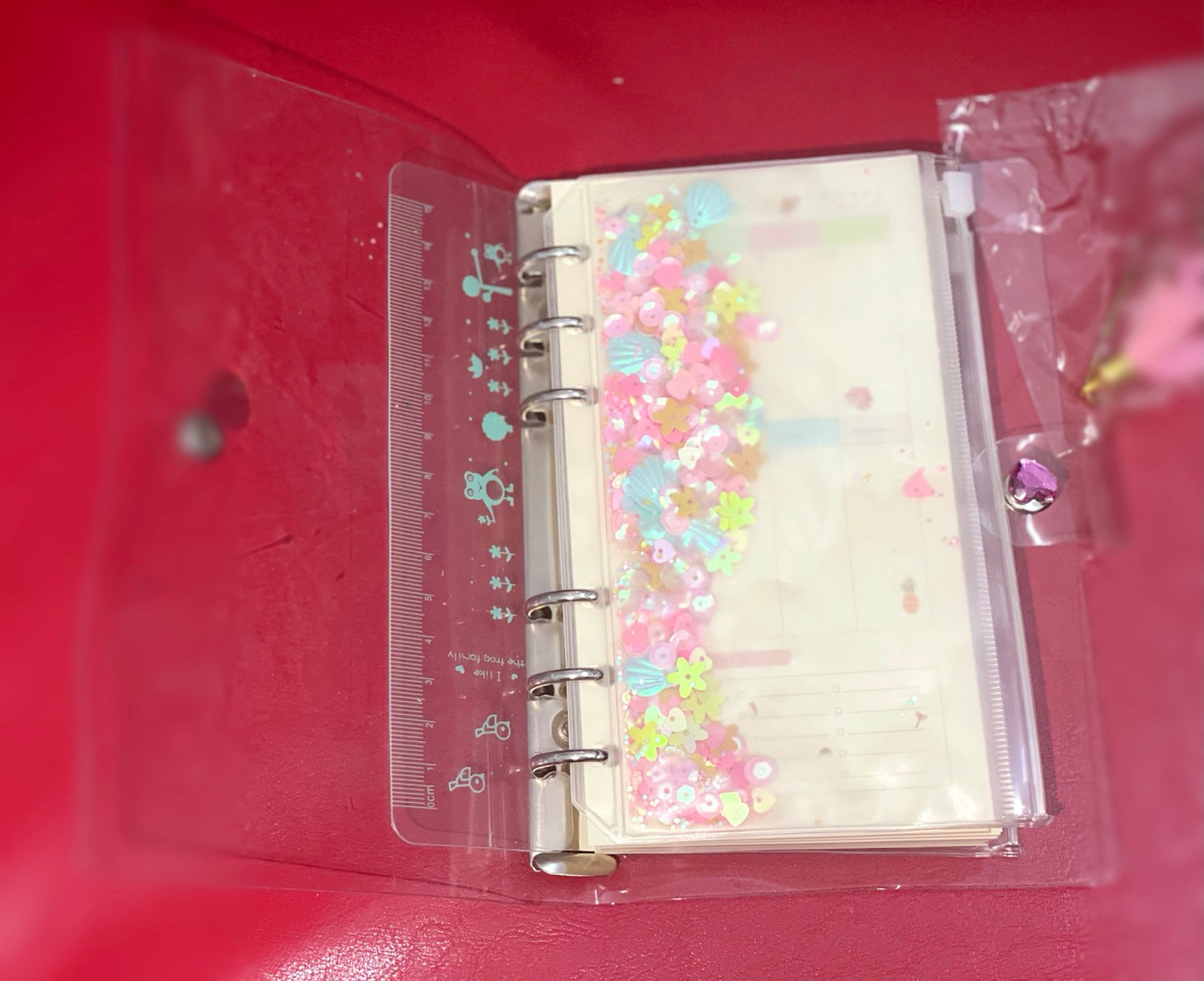 Sequins Transparent Ring Binder