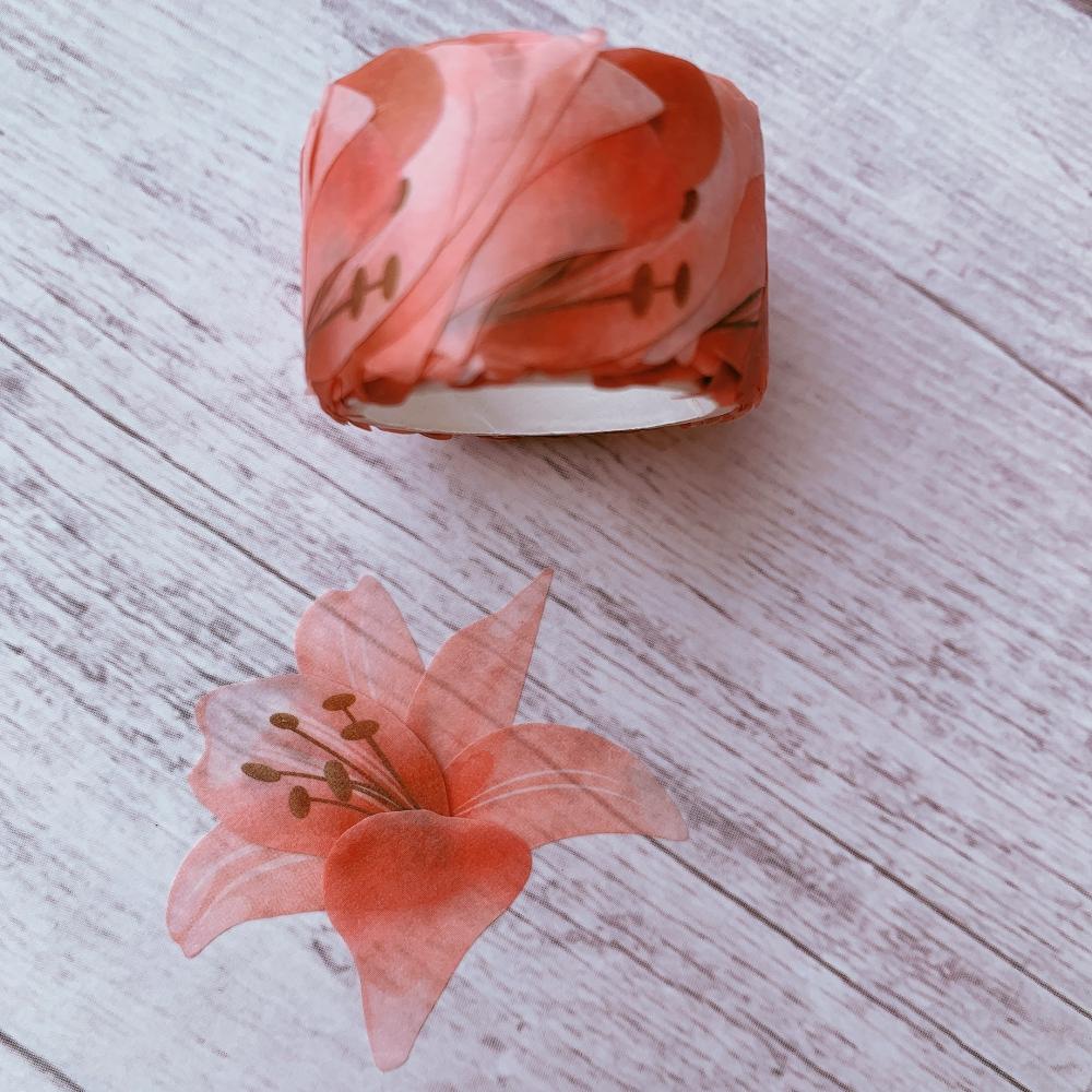 Pink Piquant Washi Flower Petal Set