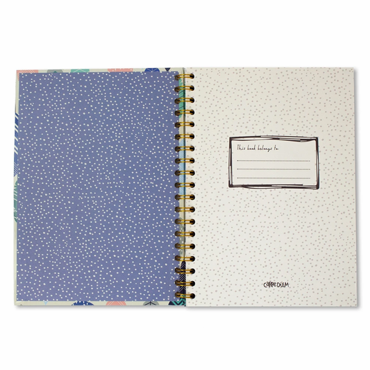 Feathers Hardcover Notebook (B5)