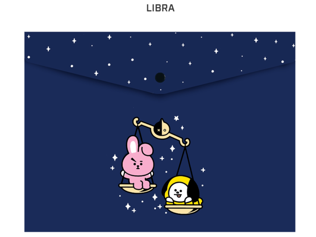BTS BT21 OFFICIAL PP FILE POCKET