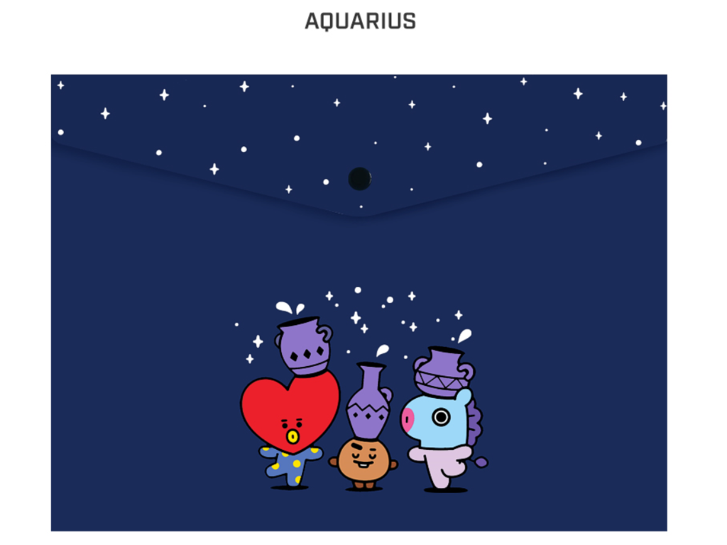 BTS BT21 OFFICIAL PP FILE POCKET