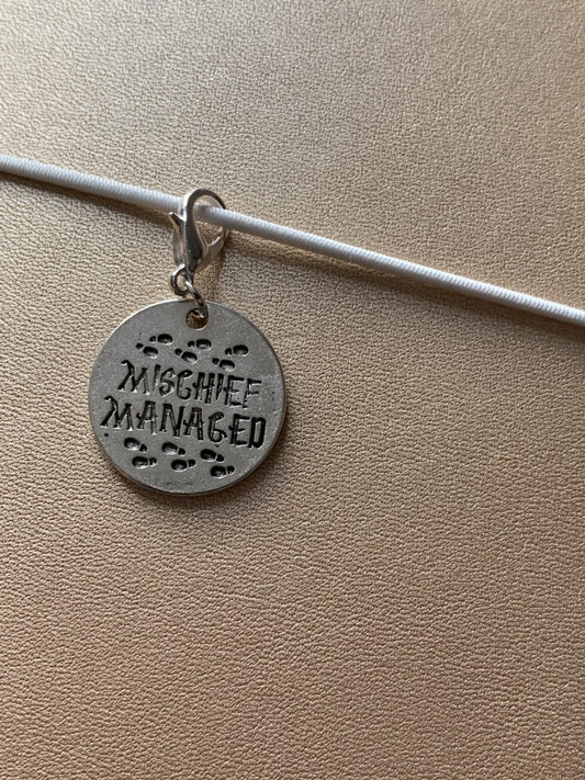 Harry Potter Disc Charm