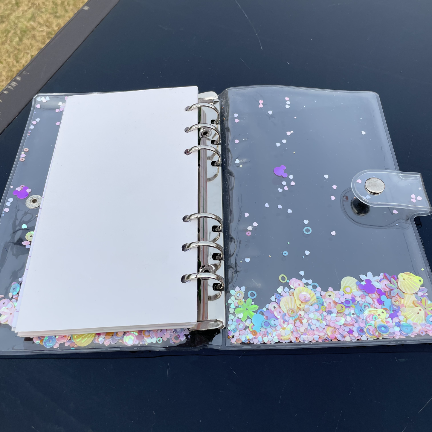 Flamingo Transparent Ring Binder