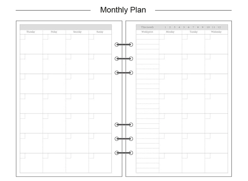Transparent Ring Binder Inserts- Monthly Plan