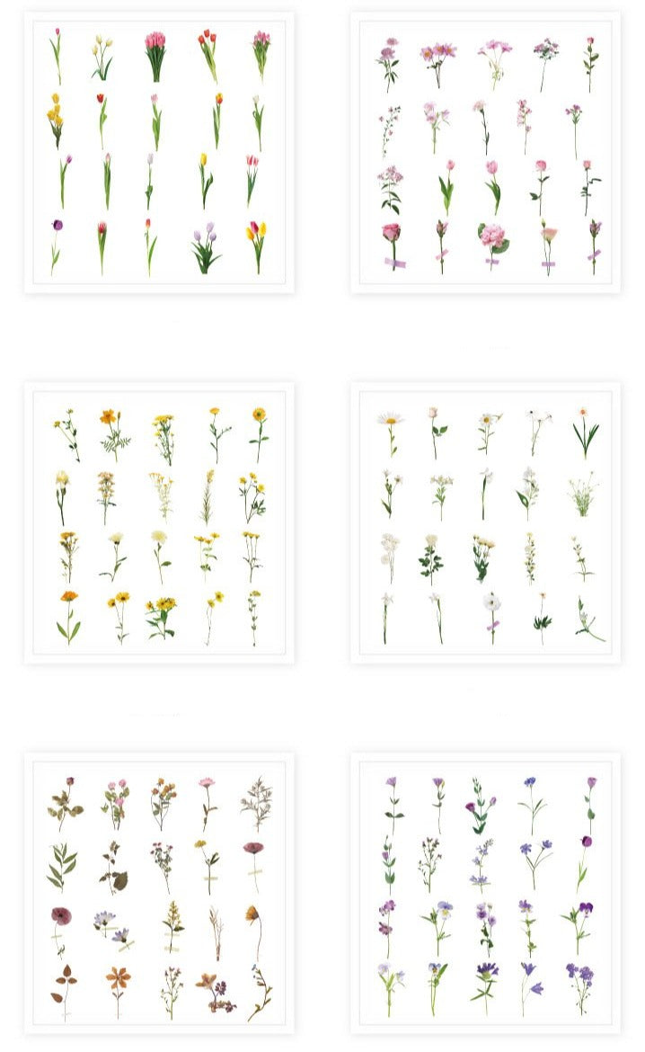 Pressed Flowers PET Stickers