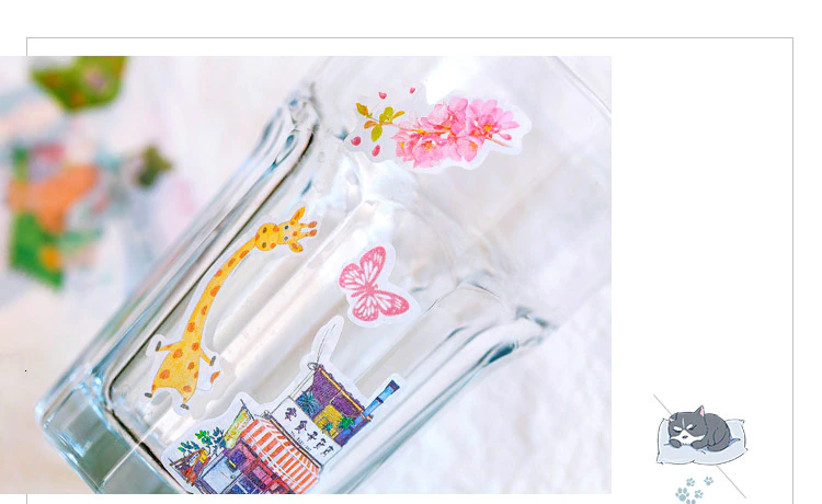 Scrapbooking Washi Stickers