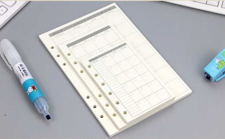Transparent Ring Binder Inserts- Monthly Plan