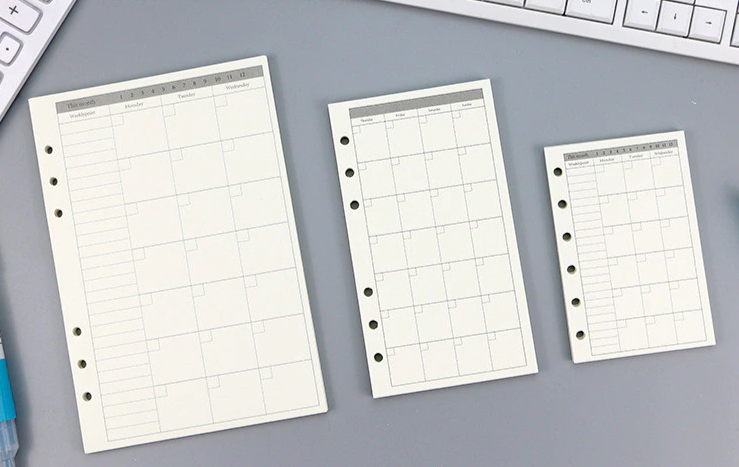 Transparent Ring Binder Inserts- Monthly Plan