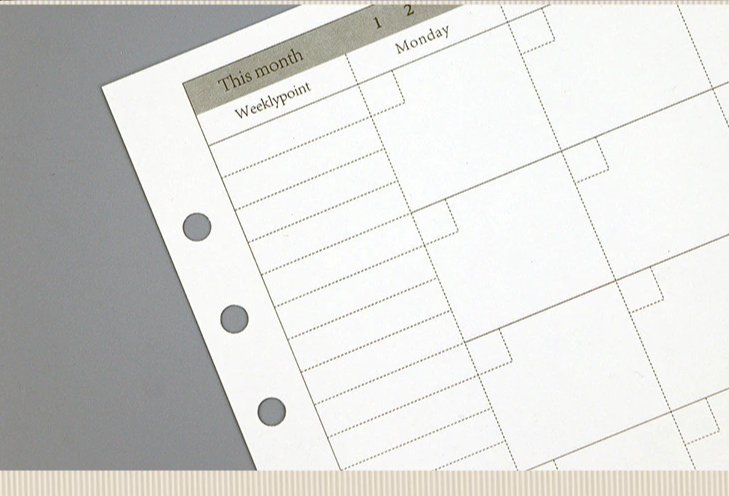 Transparent Ring Binder Inserts- Monthly Plan