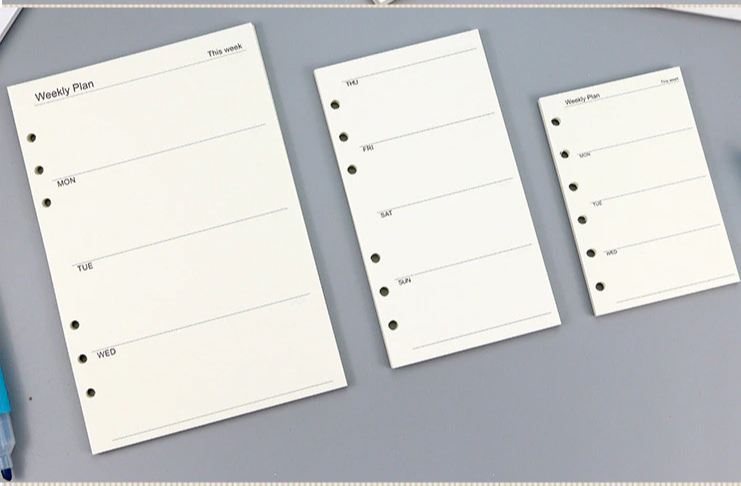Transparent Ring Binder Inserts- Weekly Plan