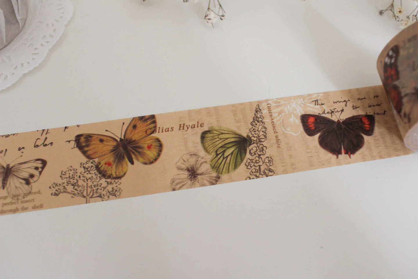 Butterfly Meadows Washi Tape