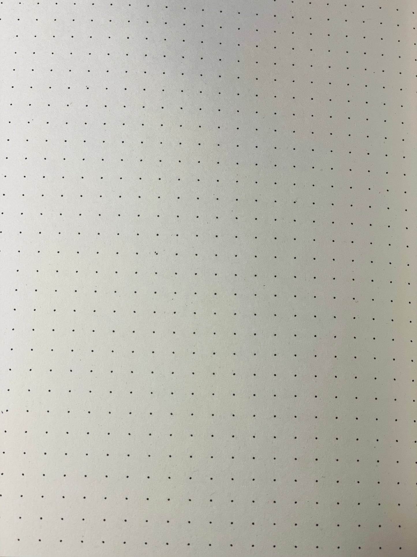 Not Today Dot Grid Notebook