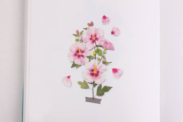 Appree Pressed flower sticker - Rose of Sharon