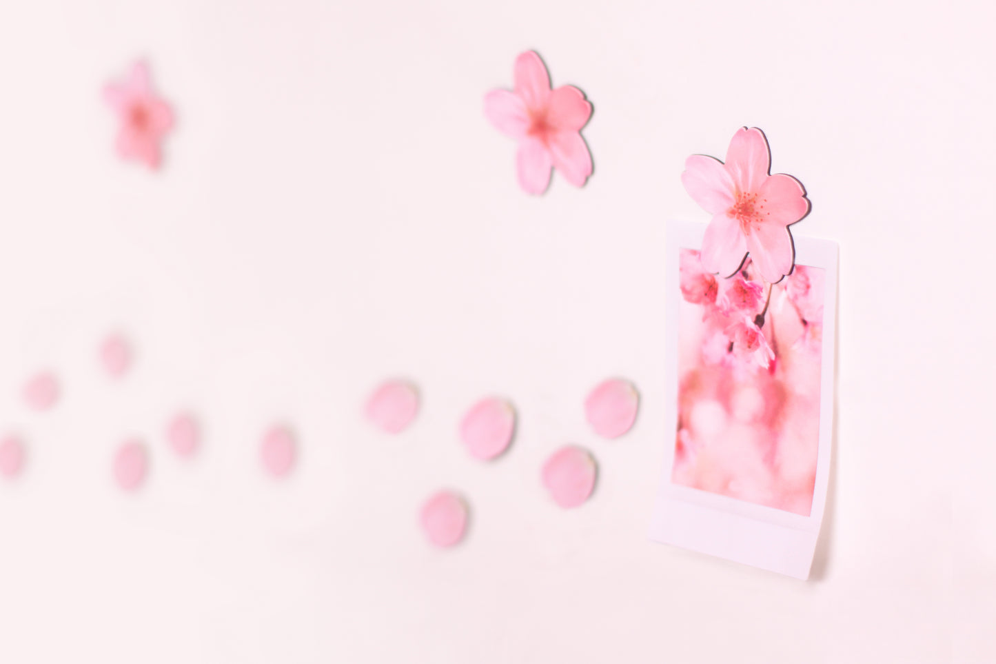 Appree Leaf Magnet - Cherry Blossom