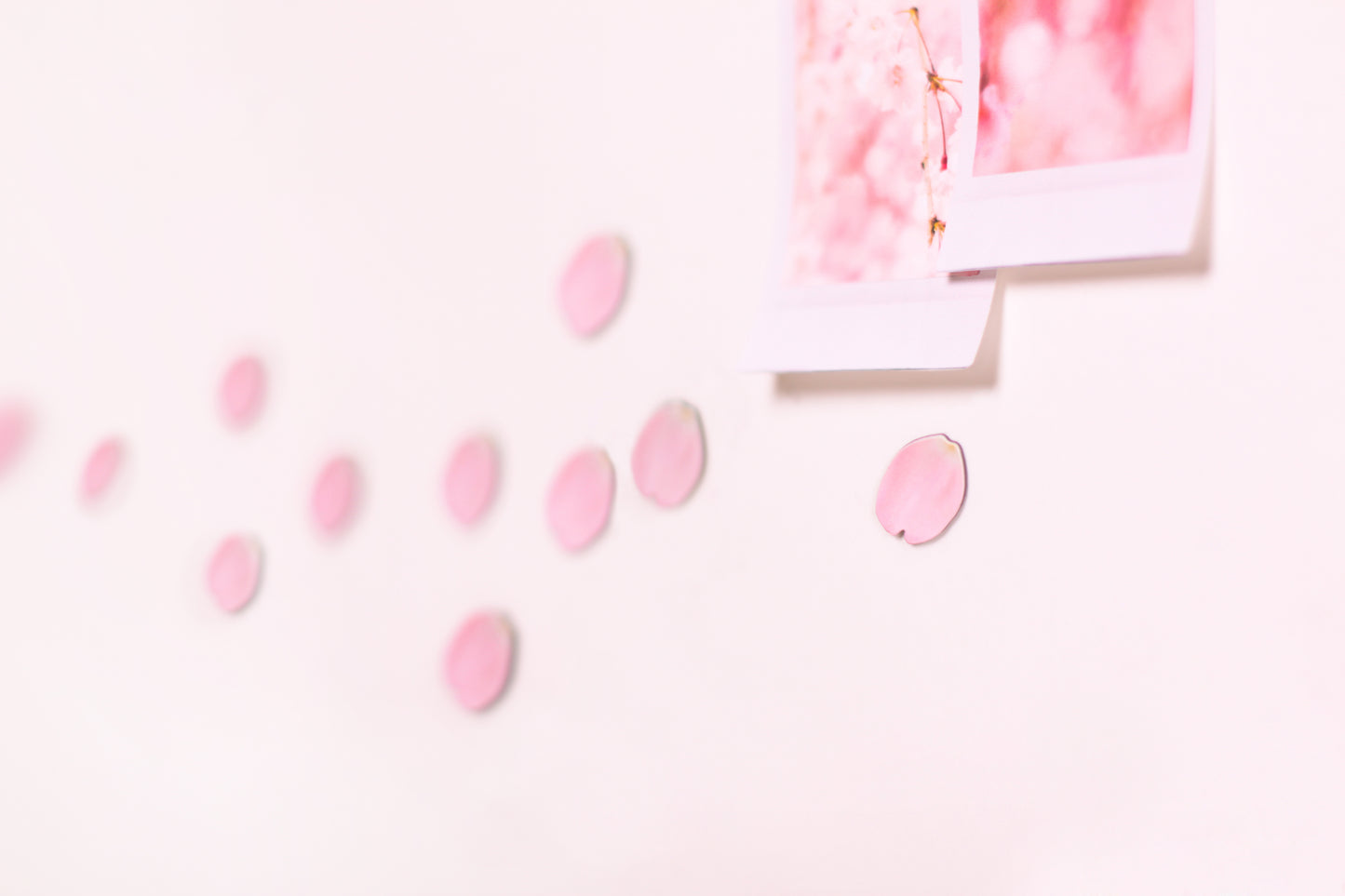 Appree Leaf Magnet - Cherry Blossom