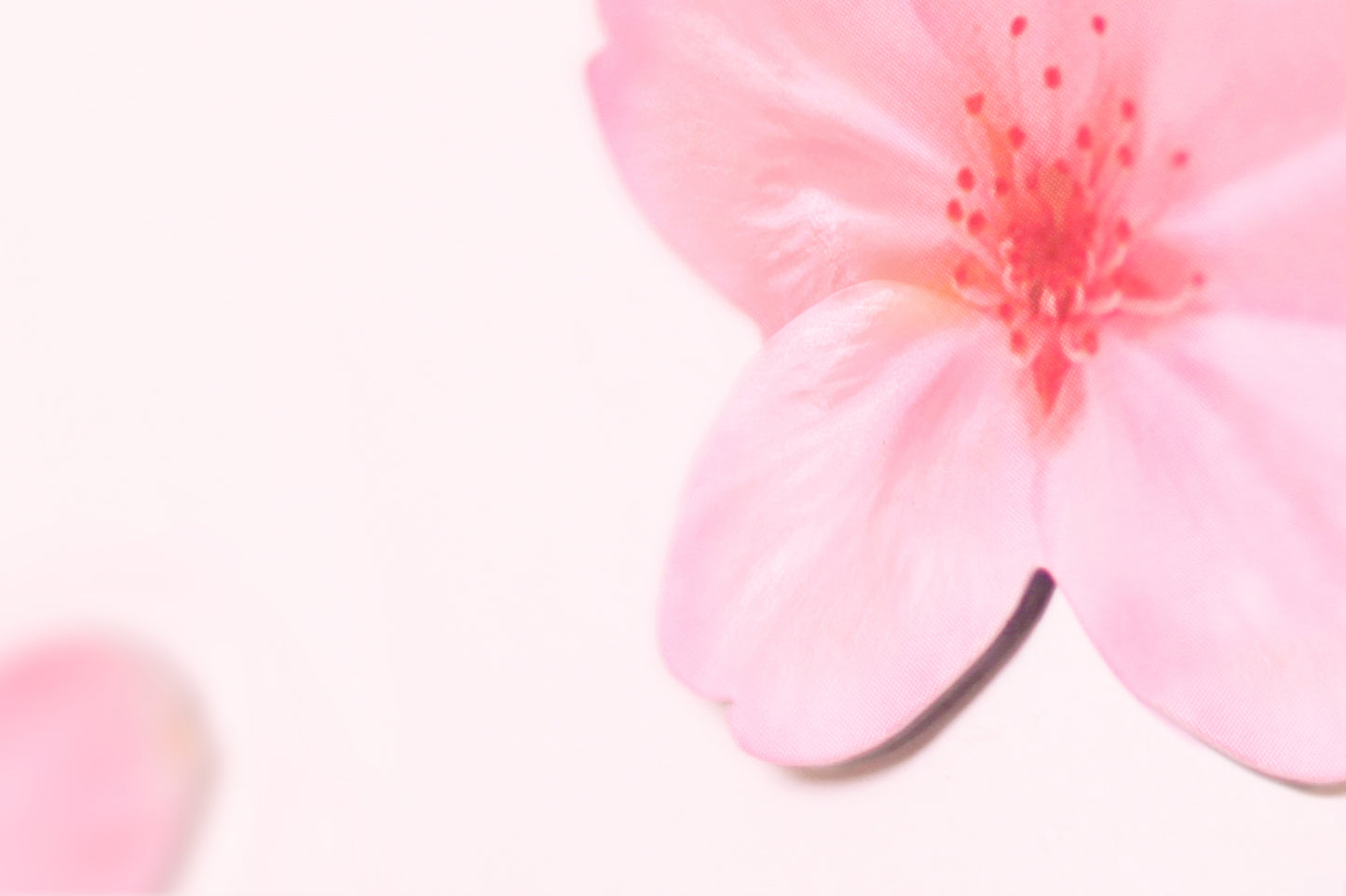 Appree Leaf Magnet - Cherry Blossom