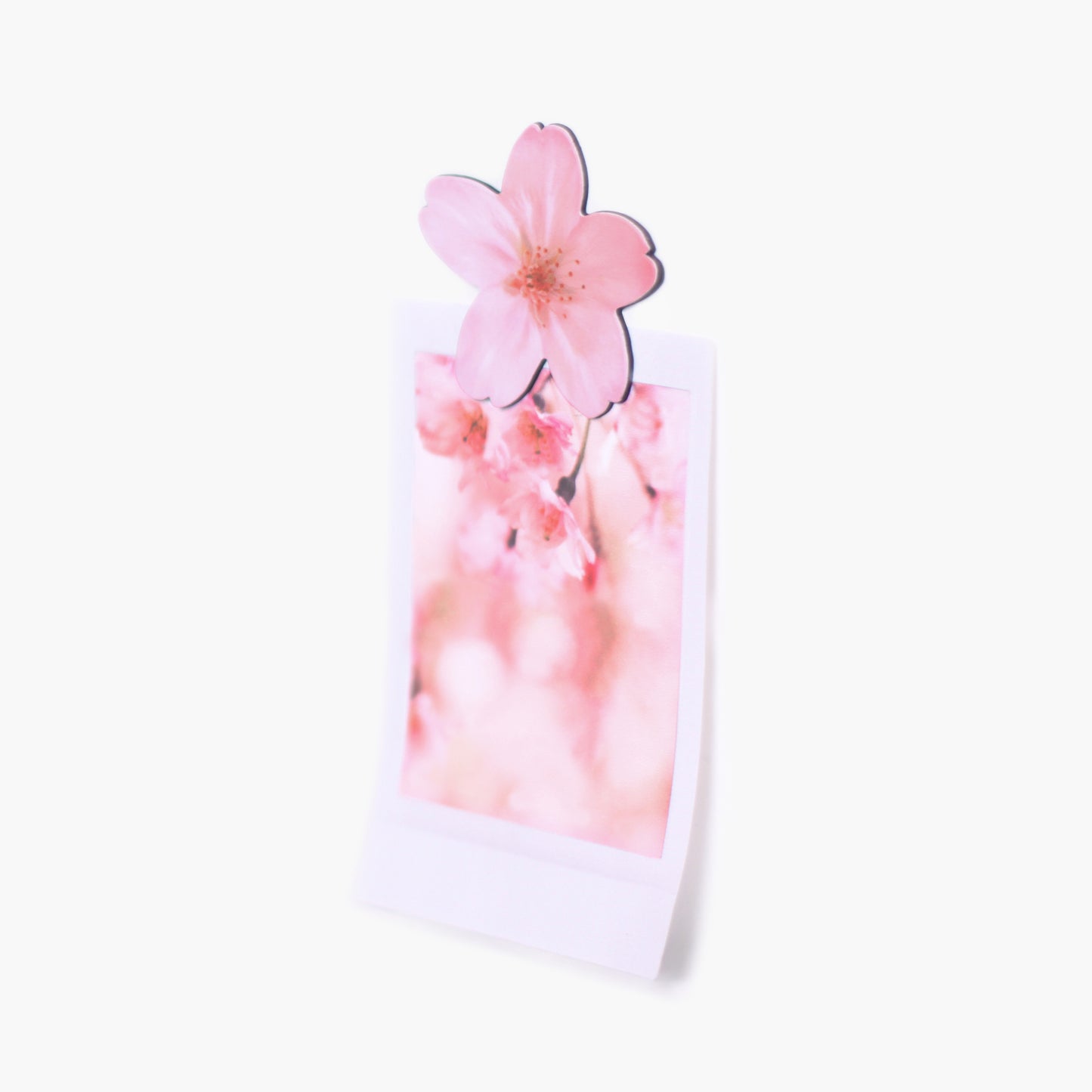 Appree Leaf Magnet - Cherry Blossom